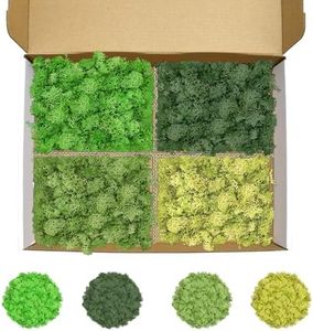 TCYPUHL Preserved 14 OZ 4 Colors Reindeer Moss for Potted Plants,Craft Decor for Wall Art,Fake Moss for DIY Decorative(Green, Dark Green, Chartreuse and Yellow Green, Each Color 3.5 OZ)