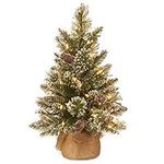 National Tree Company Pre-lit Artificial Mini Christmas Tree | Includes Small LED Lights, White Tipped, Glitter Branches Cones and Cloth Bag Base | Glittery Bristle Pine-2, 2 Foot, Green