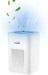 Desktop Air Purifier with HEPA Filt