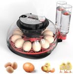 SylvanSparkKitchen Incubators for Hatching Eggs Automatic Egg Incubator with Temperature Control Humidity Display 12 Egg Capacity for Chicken Duck Goose Eggs Digital Display Auto Turner 360° View