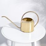 UGAOO Magnum Metal Watering Can (Gold, 2 Litre) with Long Spout for Indoor and Outdoor Gardening
