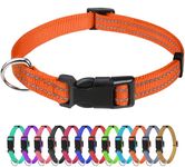 TagMe Reflective Nylon Dog Collars, Adjustable Classic Dog Collar with Quick Release Buckle for Puppy, Orange, 1.0 cm Width