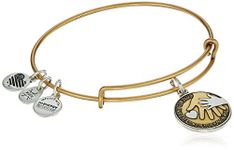 Alex and Ani Friends Alex And Ani Braclets