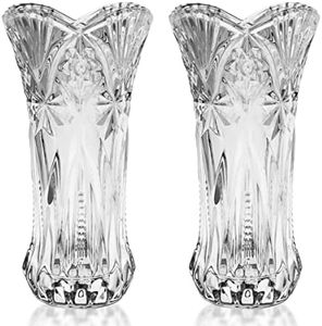Kurtzy Vaso Vetro Trasparente (2pz) - 24,5 cm - Vasi Moderni da Interno Design Cilindrico - Vaso Alto da Interno Centrotavola - Vasi Decorativi per Casa e Arredamento Ufficio - Vasi Vetro per Fiori