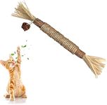 Cat Chew Toys