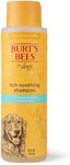 Burts Bees Itch Soothing Shampoo with Honeysuckle, 473ml, white