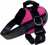 Joyride Harness 2.0 - The Original 