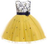 3M-9T Baby Girls Flower Dress Embroidery Pageant Party Wedding Lace Dresses, Yellow, 8-9 Years