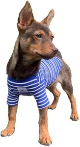 YQYS Pet Dog T-Shirts Thick Striped Cotton Tee Shirt for Small Dogs and Cats Puppy Clothes Dog Apparel Teacup Dog Clothing for Chihuahua Yorkie Poodle Blue White XSmall