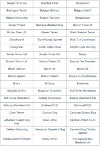 AffinityDNA Dog Breed DNA Test Kit – Accurate Canine Ancestry Analysis