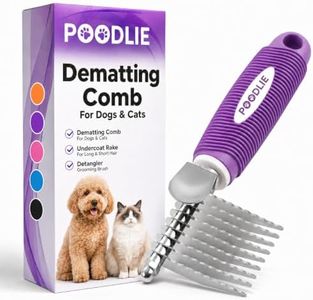 Poodle Dem