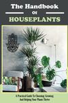 Houseplants For Beginners,How To Choose Plants In Your Home,How To Grow House Plants,How To Propagate Plants In Your Home,Common Types Of House ... Your Plant Needs To Thrive,Proper Container