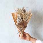 Flowers and Fillers | Boho Latte Bunch | Pampas Grass | Eco-Friendly Flowers for Home, Office, Bedroom, Table Decoration and Craft Items Corner (Without Vase Pot)