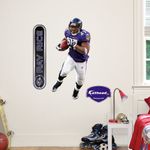 Fathead 15-16129 Wall Decal, Ray Rice Junior