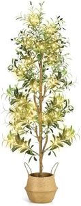 NZQXJXZ Faux Olive Tree 6FT - Indoor Tall Artificial Olive Trees with Planter & Basket and Lights, Artificial Plants with Natural Wood Trunk and Realistic Fruits for Home Living Room Office Decor