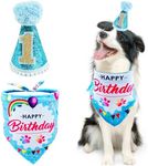 BIPY Dog 1st Birthday Hat Bandana S