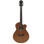 Aria Electro Acoustic Guitars