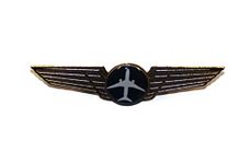 Pilot18 Black Aircraft Uniform Wings Gold Electro-Plated Badge for Pilots