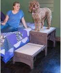 Pet Gear Free Standing Pet Ramp for