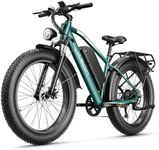 Jasion EB5 MAX Electric Bike for Ad