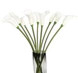 Fqueelvys 8Pcs White Calla Lily Art