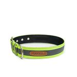 PetWale Reflective Green Dog Collar | Comfortable Fit | Stylish Design | Easy to use | Suited for Small Breeds Like Lahsa, Terrier & More | Size S