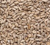 Superpet Premium Sunflower Hearts For Wild Birds (10KG)