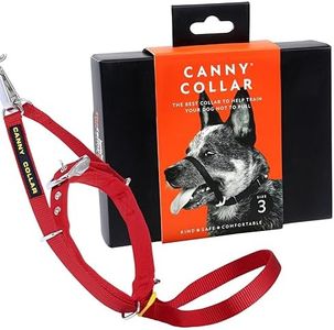 Canny Hund