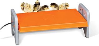 K&H Pet Products Chicken Brooder He