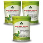 Havintha Natural Herbal Henna Hair Pack 11 Herbs Mix Mehandi Powder | Natural Hair Color - 227 g (PACK OF 3)