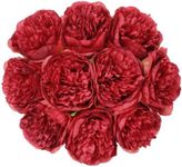 U'Artlines 20 Heads Artificial Peony Silk Flower Leaf for Christmas Holiday New Year Home Office Wedding Party Festival Bar Decor (Red)