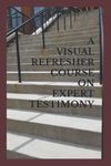 A Visual Refresher Course on Expert Testimony