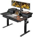 ErGear Electric Standing Desk with Drawers, 48" x 30" Height Adjustable Desk with Storage, 4 Memory Preset Computer Home Office Desk with Cable Management Tray, Black