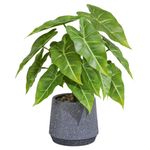 LUWENER Fake Plants Green in Grey Stone Pot,13" tall Faux Potted Plants for Home Office Indoor Artificial Potted Plant for Shelf Table Bathroom Bedroom Decoration (Sea taro leaves)