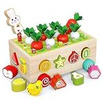 Toddler Montessori Toys Educational