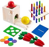 CYZAM 4-in-1 Wooden Play Kit Montessori Toy for 1-3 Year Old, Object Permanence Box, Coin Box, Carrot Harvest, Color Matching Stick Toddler Learning Toy for Boys Girls