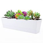 Large Window Boxes Planters, GREANER 1PCS 16x3.8 Inch White Vegetable Herb Planters with Tray, Indoor Succulent Cactus Flowers Plastic Rectangle Pot for Balcony, Office, Garden, Outdoor, Windowsill