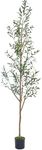 7.6FT (92'') Olive Tree Tall Skinny