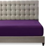 Toodou Hotel Luxury Deep 35 Cm Solid Color Fitted Bottom Sheet with Elastic All Around is Ultra Soft,Comfortable and Durable-Purple King Size