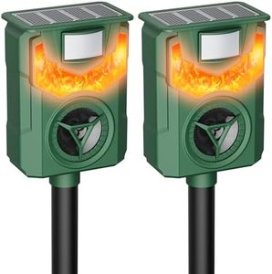2 Pack Fla