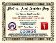 Medical Alert Services