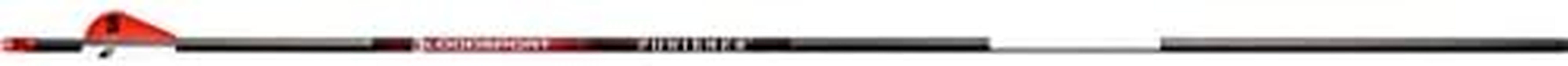 BLOODSPORT Punisher Precise Durable Carbon Fletched Hunting Arrow for Compound Bow - 31" Length, 244" Standard-Diameter, 004" Straightness, 6 Pack, 350 Spine,Black