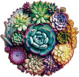 Mys Aurora Wooden Jigsaw Puzzles - Mandala Succulent Plants, 200 Piece Luxurious Shaped Wooden Puzzles for Adults and Kids, Family Game, Medium 11.3'' x 10.9''