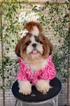 DogsNDude Shirt for Your Pet (Dog,Cat) | Fashion+Casual Wear Dog Clothes | Cotton Dog Shirt | Winter wear Dog Shirt| Pet Etheninc Wear |Cute Print Shirt for Your Furry Babies (M, Pink)