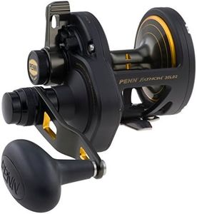 Penn Fathom 40N Lever 2-Speed Lever Drag Fishing Reel