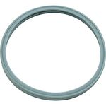 Pentair 614516 Hatteras Light Lens Gasket for Pool Star Pool or Spa Light