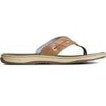 Sperry Top-Sider Men s Baitfish Thong Sandal Sonora 9 D(M) US