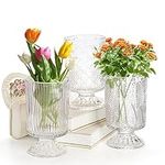 Pumtus 3 Pack Glass Vase, Embossed 