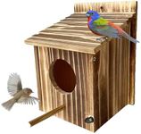 Bird House for Garden Wooden Bird Houses with House Pole birdhouses for Outside Bluebird Cardinals Hanging Birdhouse for Outdoors Hanging or Wall Mount