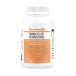 Tribulus Terrestris For Men Now